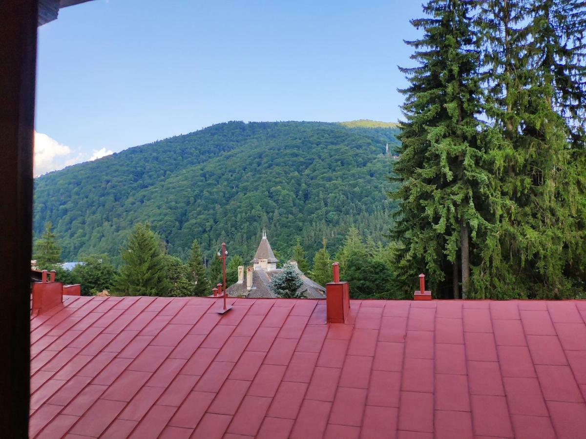 Cozy Loft At Teleferic Apartment Sinaia Exterior photo